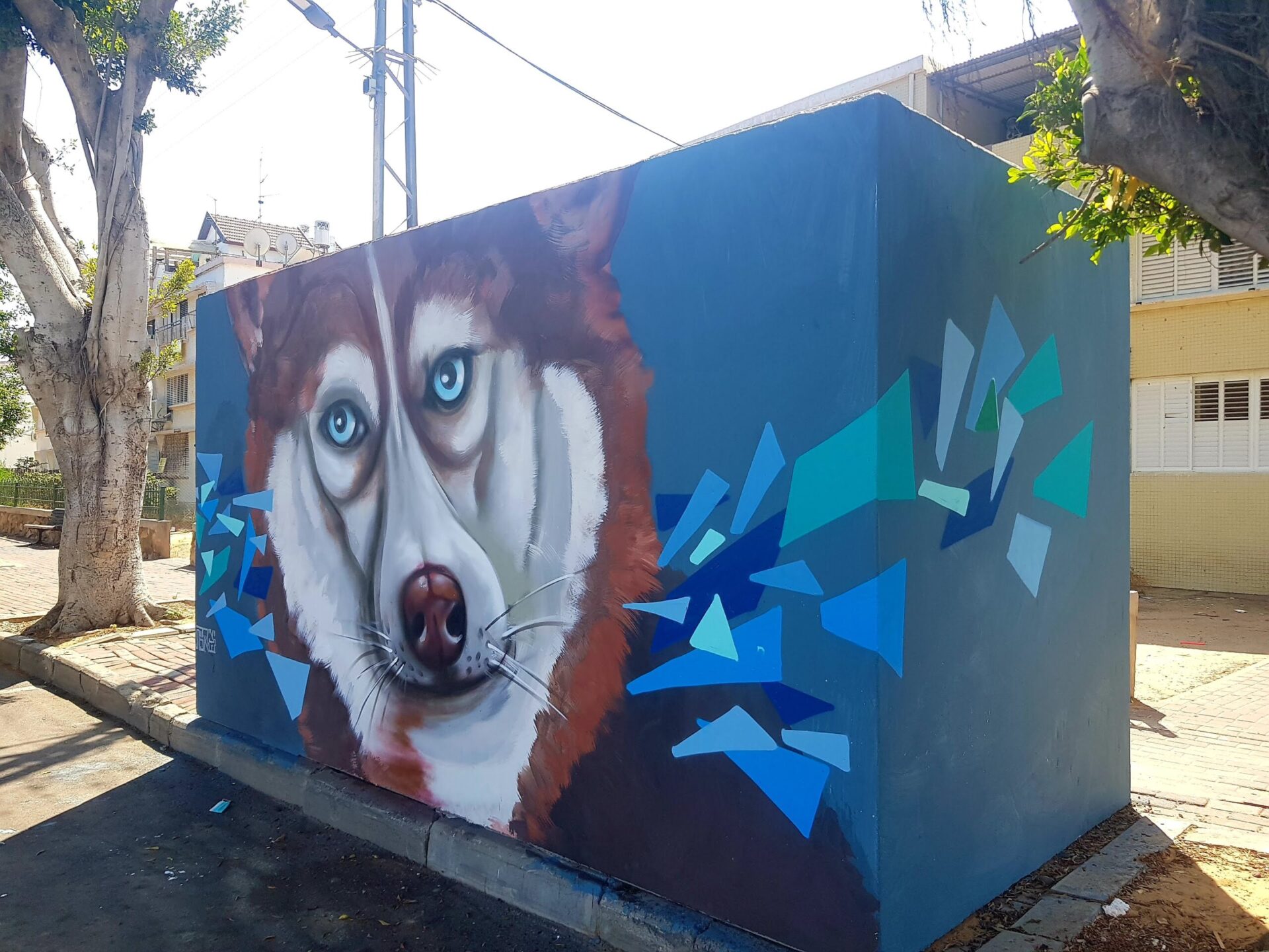 Husky Art Shelter