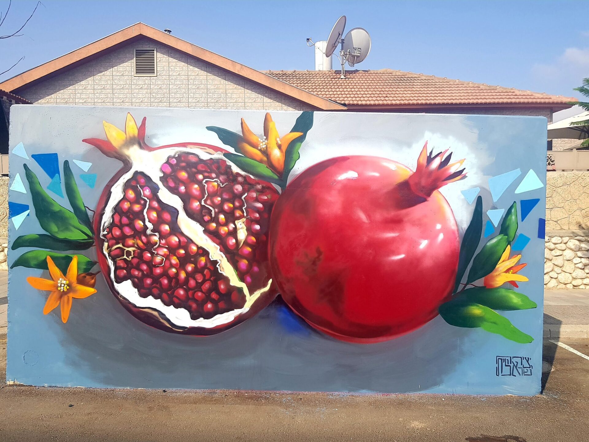 Pomegranate Street Ha Rimon