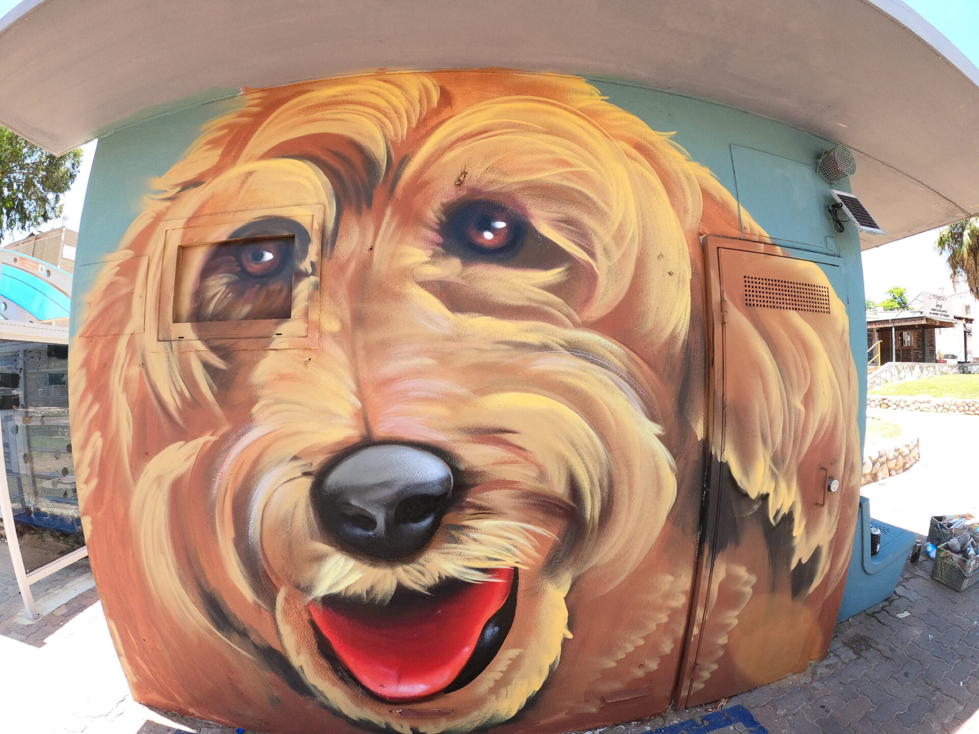 Sderot Fink dog 2