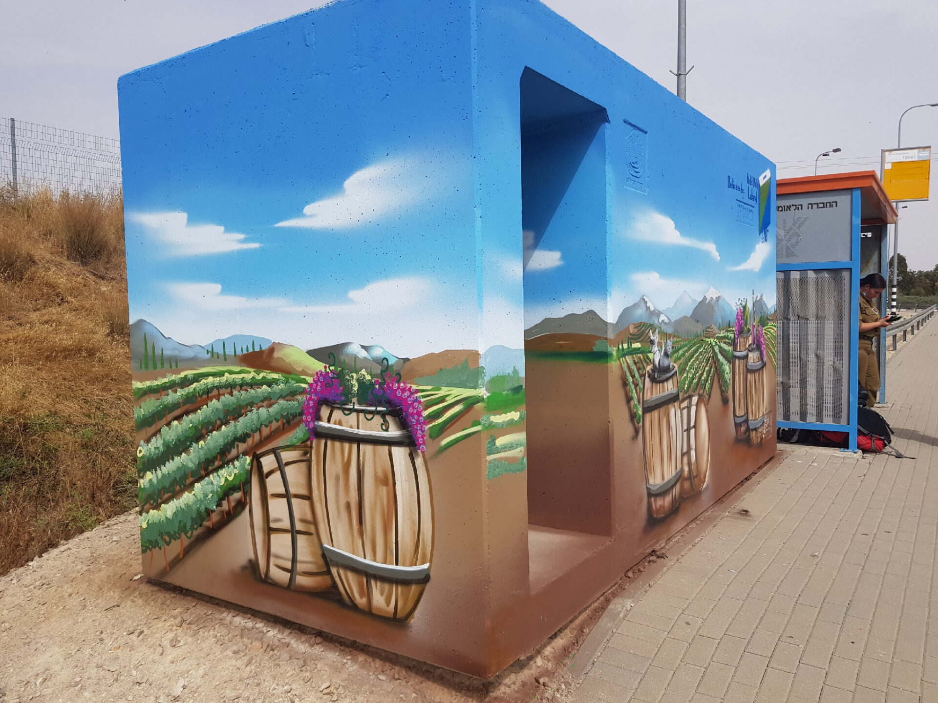 Vineyard 2