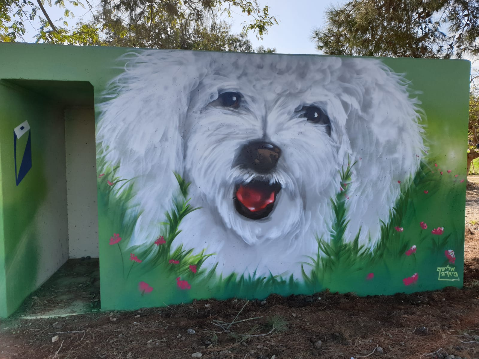 Ein Hashlosha Fluffy white dog3