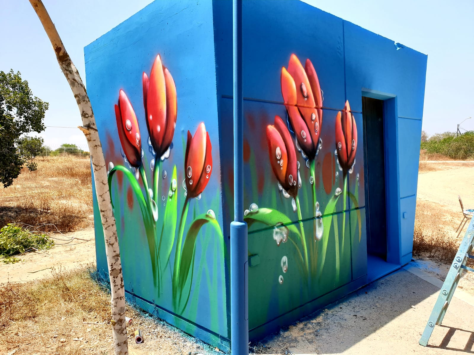 Ein Hashlosha Tulips1