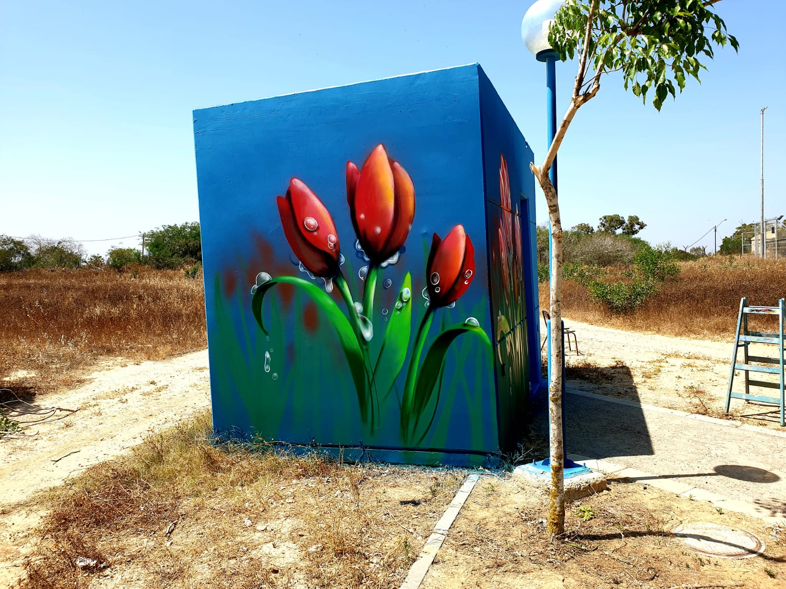Ein Hashlosha Tulips3