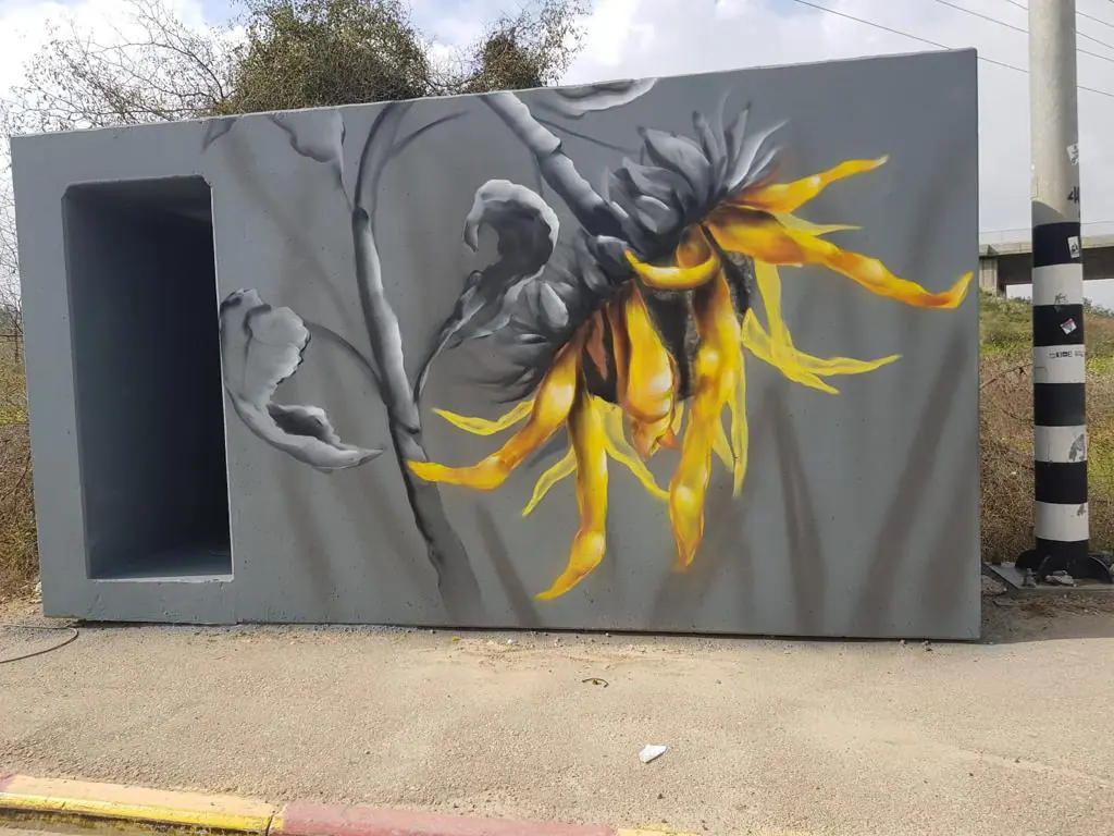Erez Junction Sunflower