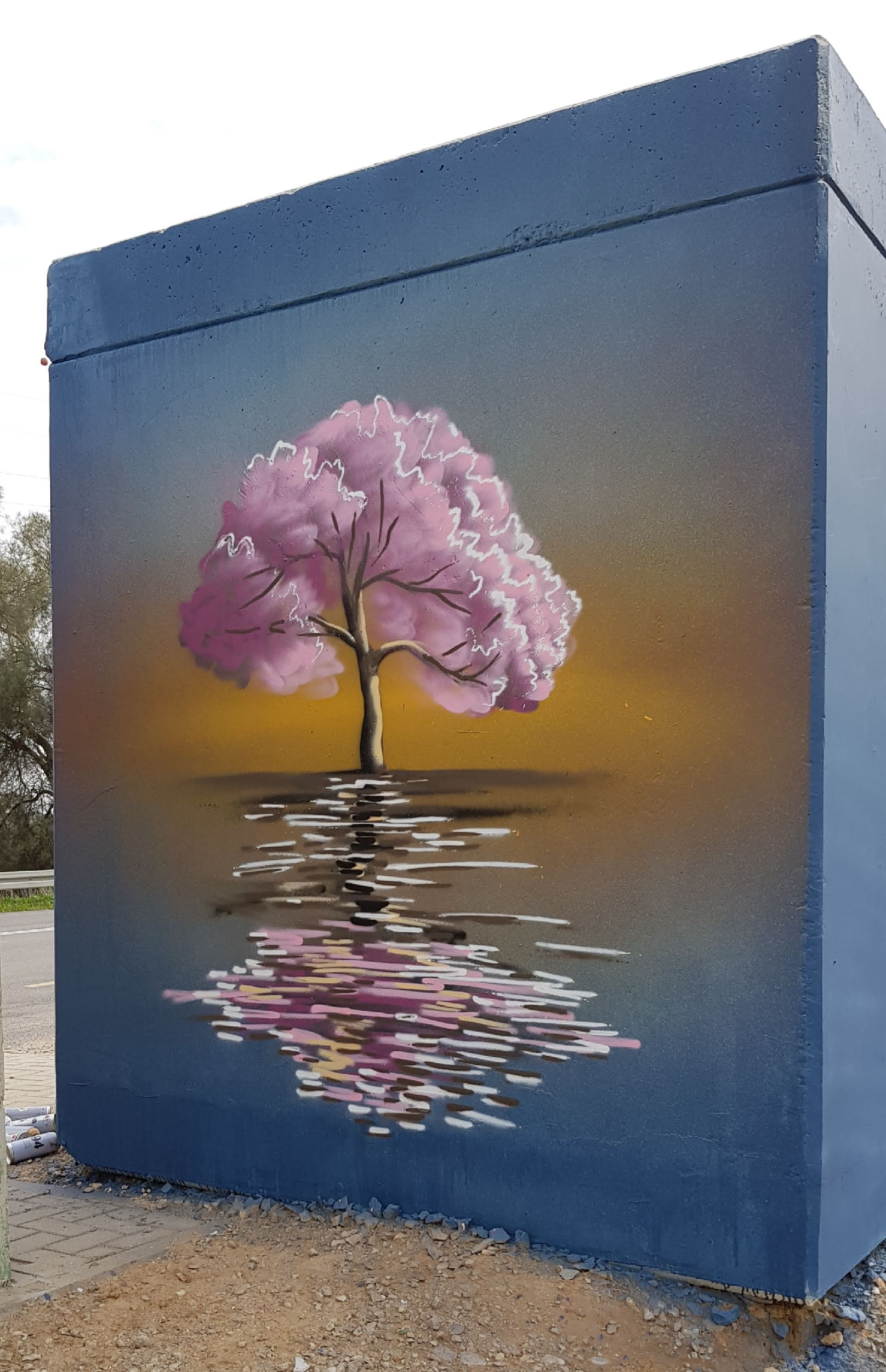 Eshkol Regional Council Junction southbound flowering trees 1