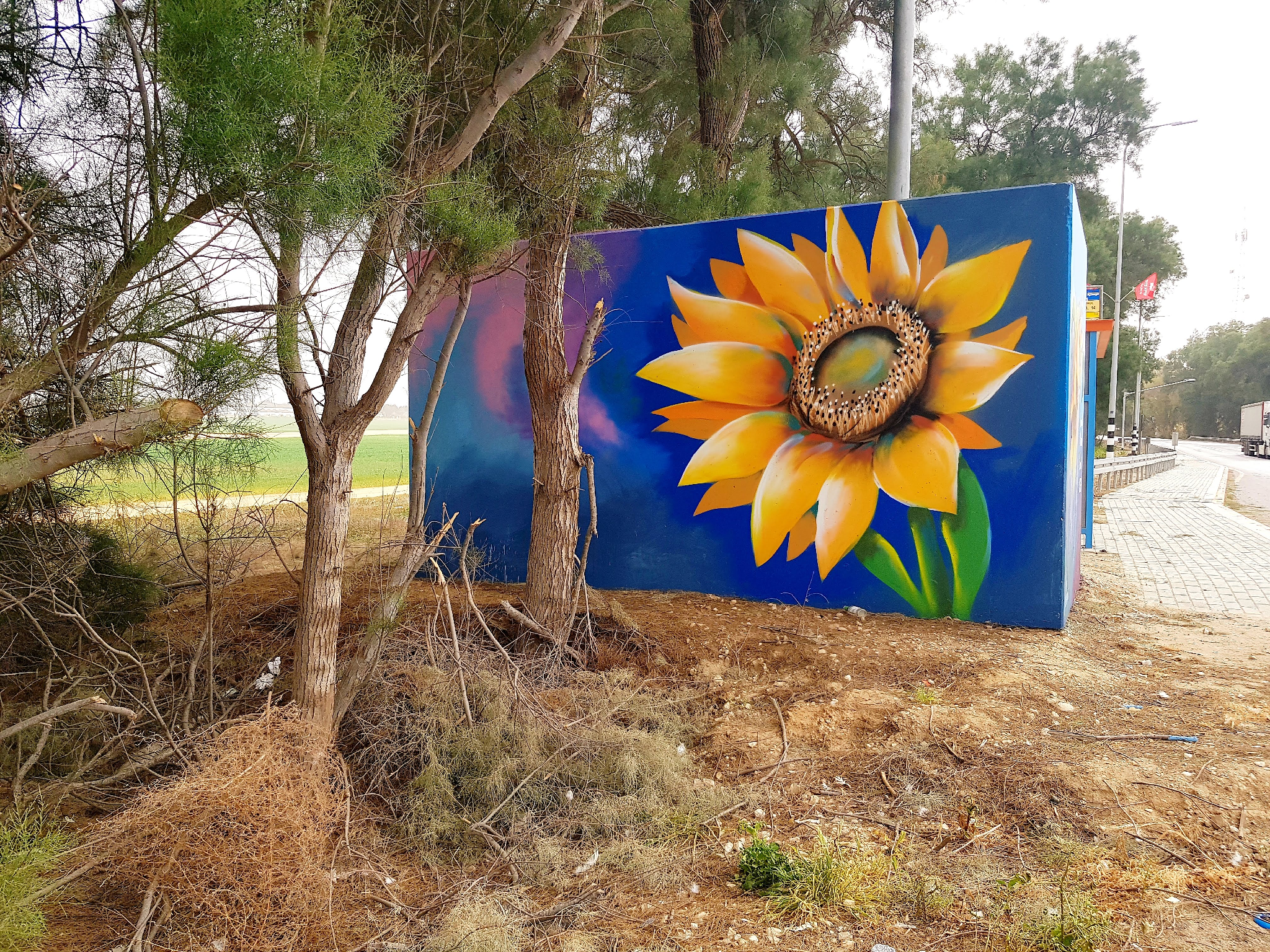 Magen Junction northbound sunflowers2