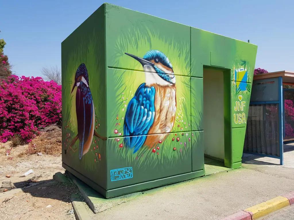 Sderot Junction Kingfisher3