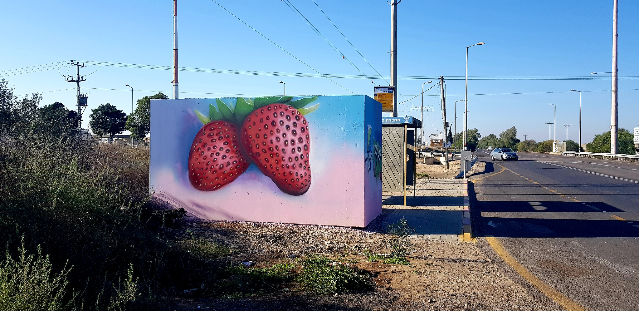 Tzochar Junction Northbound Srawberries 1