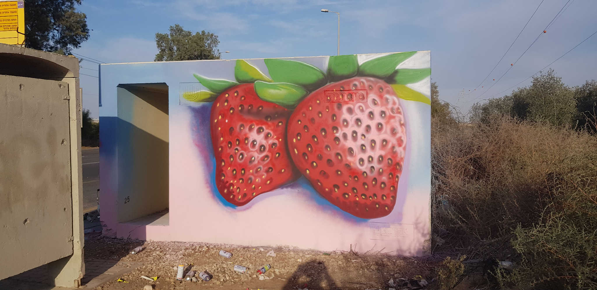 Tzochar Junction Northbound Srawberries 2