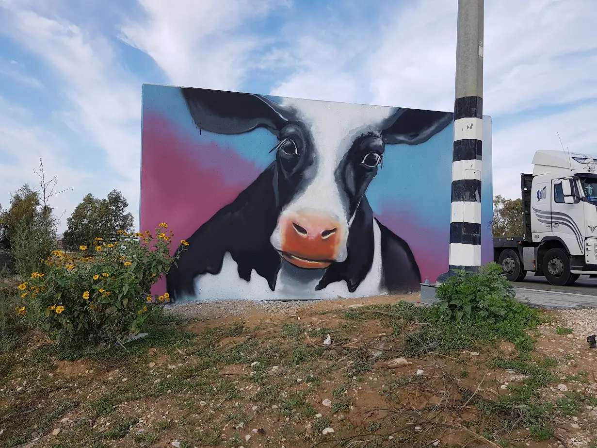 Nir Yitzack Junction Cow 1