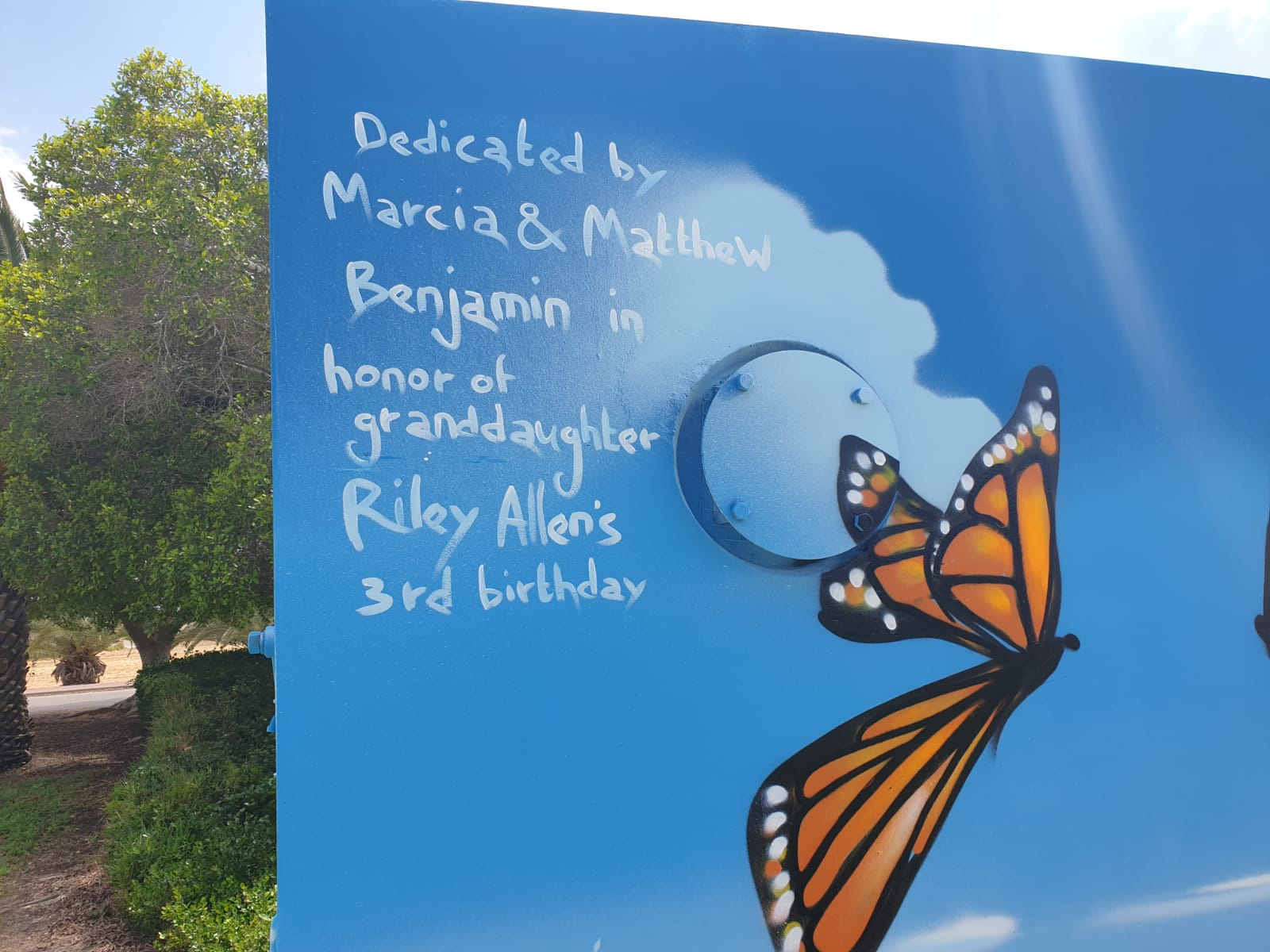 Pri Gan Butterflies