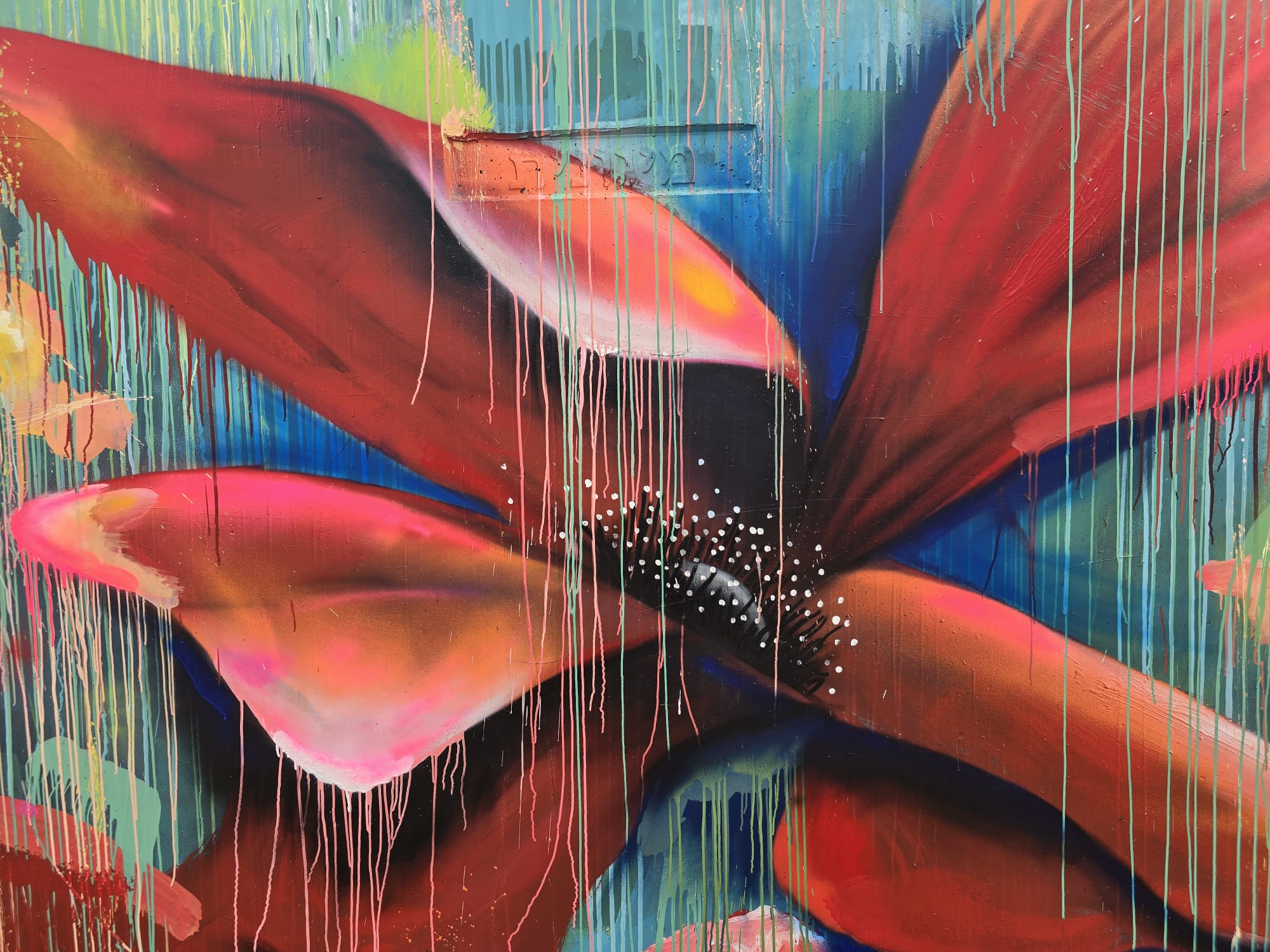 Aspen Collective Artshelter in Moshav Zimrat